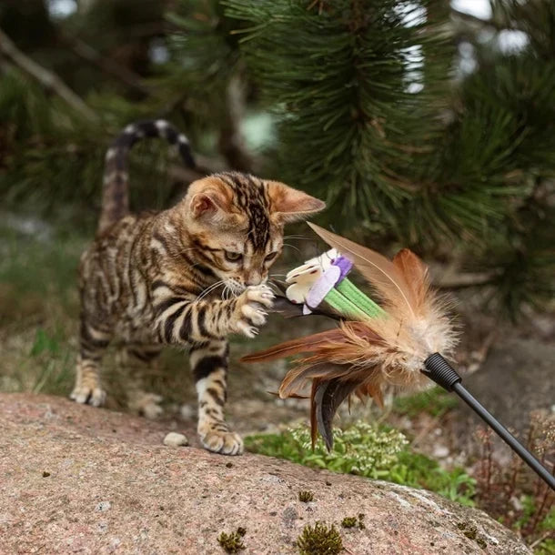 Nature's protection