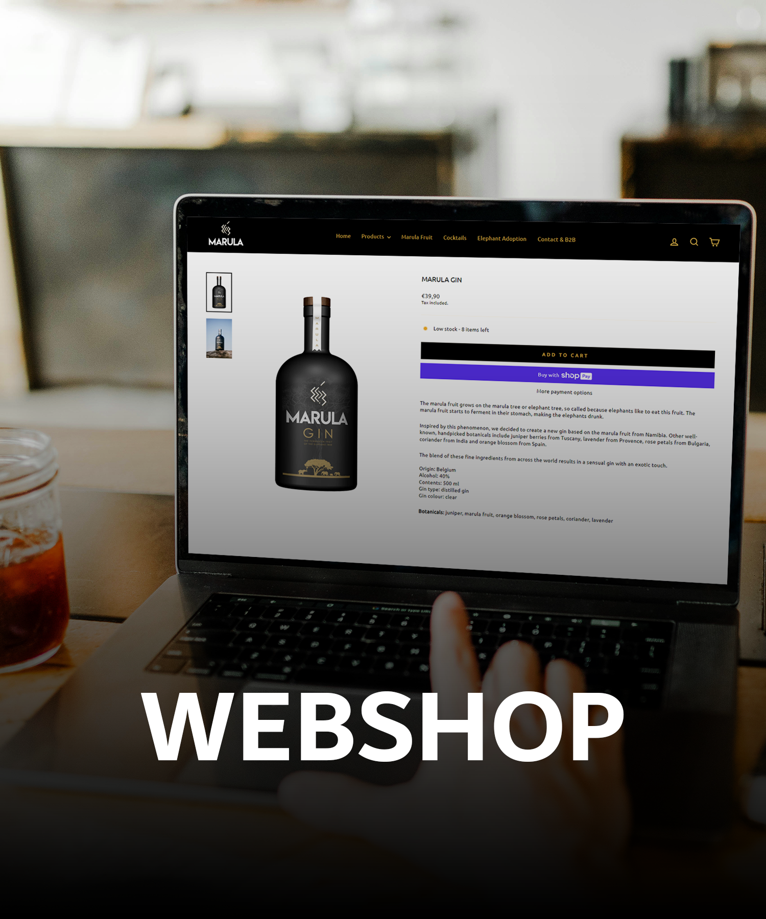 Webshop development